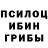 Псилоцибиновые грибы GOLDEN TEACHER Alex Coropet