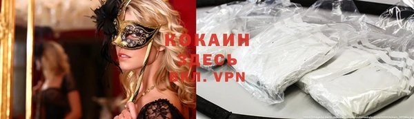 прущие грибы Медвежьегорск