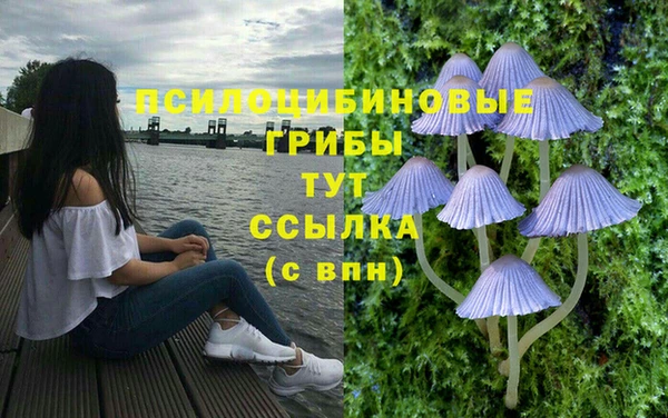 mdpv Михайловка