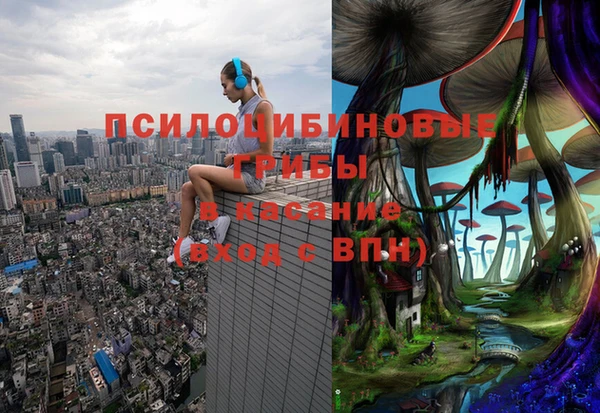 эйфоретик Надым